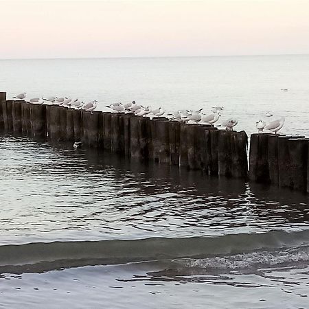 Ferienwohnung "Lotti" Bad Doberan Zewnętrze zdjęcie